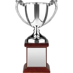 Endurance Nickel Plated Trophy Award