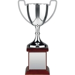 Endurance Nickel Plated Trophy Award
