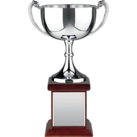 Endurance Nickel Plated Trophy Award Cup
