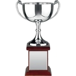 Endurance Nickel Plated Trophy Award Cup