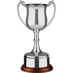 Range Nickel Plated Award Cup