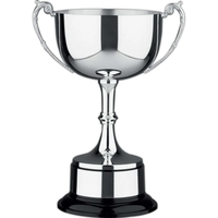 Cambridge Silver Plated Award Trophy Cup