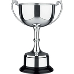 Cambridge Silver Plated Award Trophy Cup