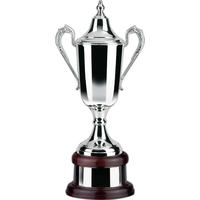 Supreme Formula Plain Trophy Award