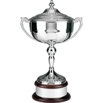 Supreme Trophy Award