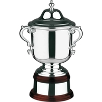Plain Supreme Trophy Award