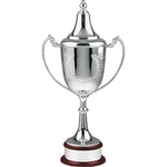 Supreme Laurel Trophy Award