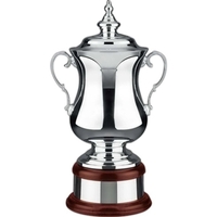 Loving cup plain trophy award cup with lid, base, mahogany plinth... from ASI...