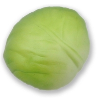 Lettuce/Cabbage Shape Stress Reliever