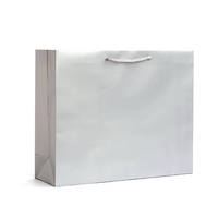 Lightly textured matte laminated bag, 13" x 5" x 10".... from ASI 92480...
