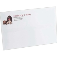 6" x 9" white wove 24 lb. mailing envelopes with standard... from ASI 81500...