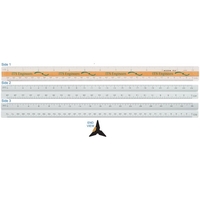 12" Triangular Civil Ruler white high impact styrene with black engraved......
