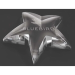 Radiant Star Paperweight