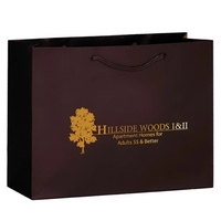 13" x 5" x 10" matte laminated paper Euro-style shopping bag... from ASI...
