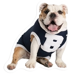 36-50 Sq. Inches Custom Shaped Decal