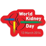 2-5 Sq. In. Clear Custom Shaped Ultra Decal