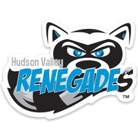 White custom shaped ultra decal measuring 12-18 sq. in. and made... from ASI...