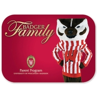 Screen Cleaning Cloth