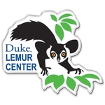 Up to 6 Sq. In. Custom Shaped Acrylic Magnet