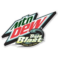 Custom Shape Small Car Magnet