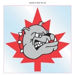 Custom Shaped Vinyl Decals