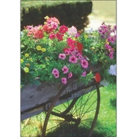 Antique Flower Cart