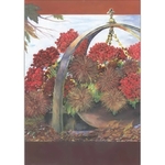 Classic Chrysanthemum