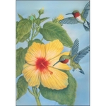 Hummingbird and Hibiscus