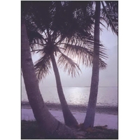 12" x 18" beach palms garden size sublimated flag with two-sided... from ASI...