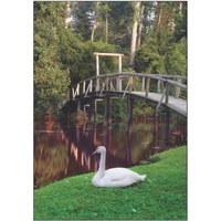 28" x 40" sublimated flag with two-sided majestic gardens design; fits......