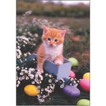 Easter Kitten