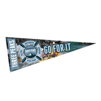 4" x 10" Full Color Felt Pennant, No Strip