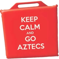 Vinyl Covered Foam Stadium Seat