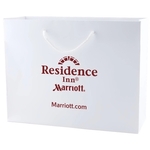 Non-Laminated White Kraft Eurotote