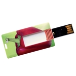 Canis Plastic Mini USB Card