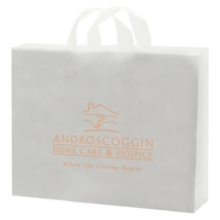 Clear Frosted Soft Loop Handle Bags