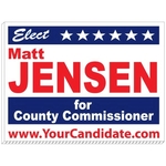 Political Yard Signs