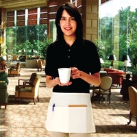 Value Waist 3 pocket apron