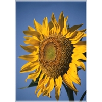 Masterpiece Themed Event Flag