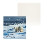 Matte Ceramic Photo Tile - Square 6"