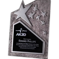 Stunning silver 1/4" thick cast award with molded accent stars.... from ASI...