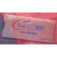 Document Holder - Clear 4" X 9"