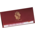 Envelope Style Lottery Ticket Holder