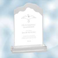 Acrylic Clear Frosted White Cap Edge award with a frosted rugged... from ASI...
