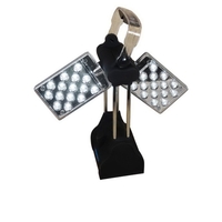 Big Winged Lantern. Features: 30 LEDs, 15 LEDs, per panel.... from ASI 99030...