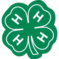 Magnet - Stock Shape - Full Color