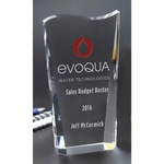 Large Boundless Award