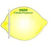 Lemon/Lime shaped dry erase memo board with marker.... from ASI 67620 Lion...