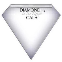 Diamond shaped dry erase memo board with marker.... from ASI 67620 Lion...