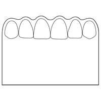 Creative top flexible magnet with scalloped top.... from ASI 67620 Lion...